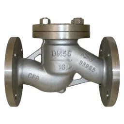Check Valve