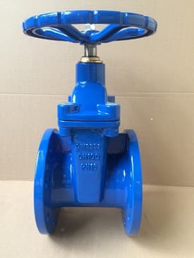 BS Soft Seat Gate Valve