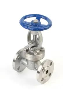 SS316L Gate Valve
